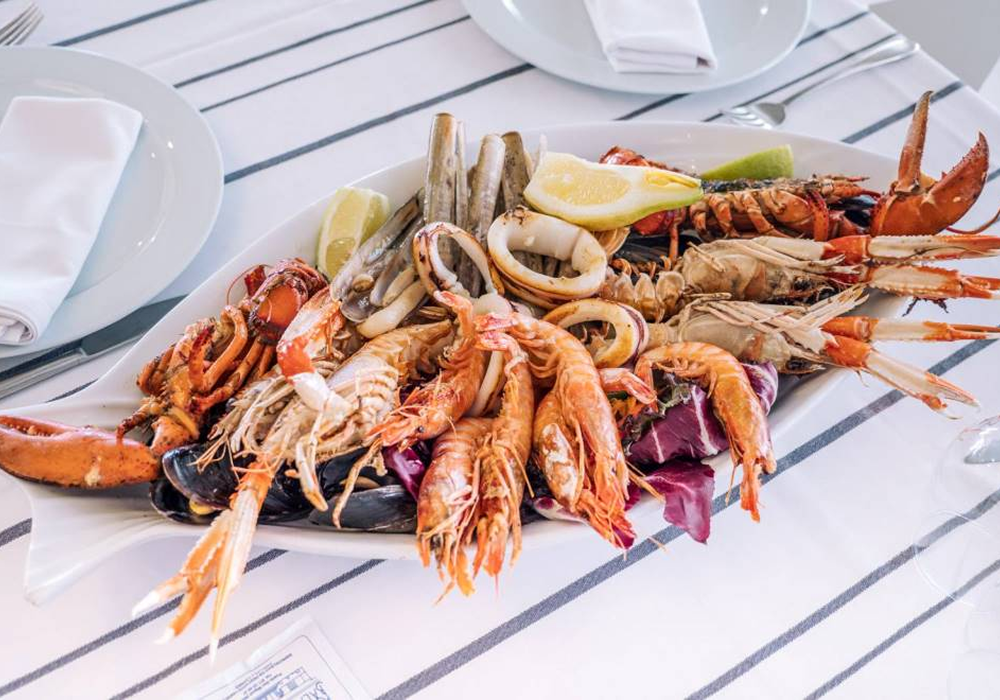 43476121 redimenzionada