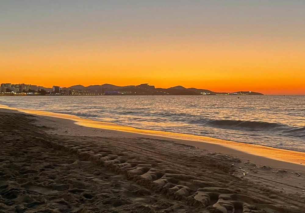 D en Bossa 2 redimenzionada