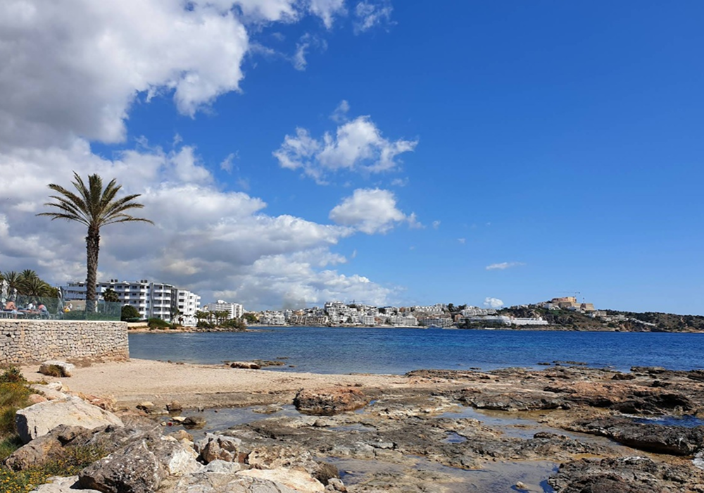 D ne Bossa 3 redimenzionada