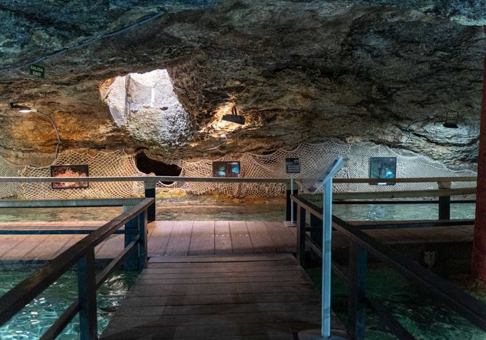 DSC00445 redimenzionada