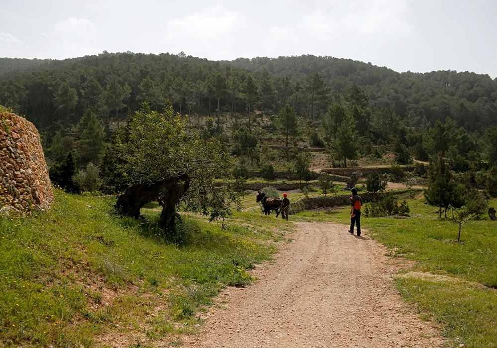 Santmateu redienzionado