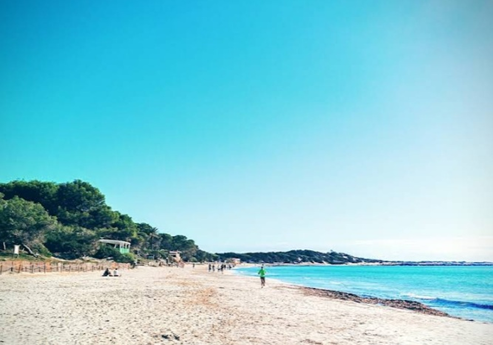 Ses Salines 2 redimenzionada
