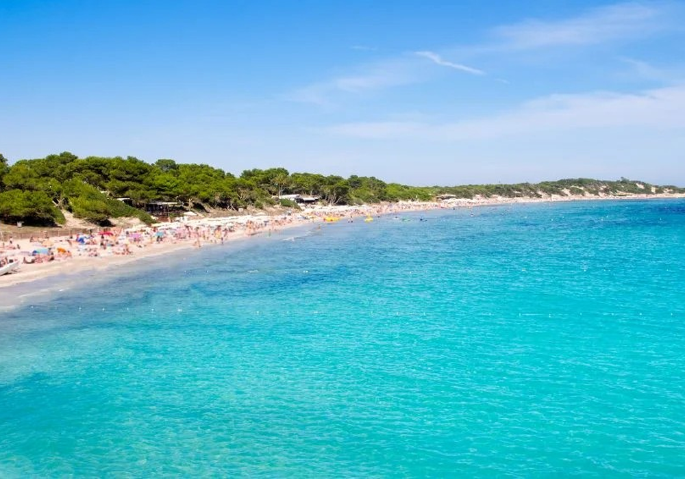 Ses Salines 2 wep redimenzionada