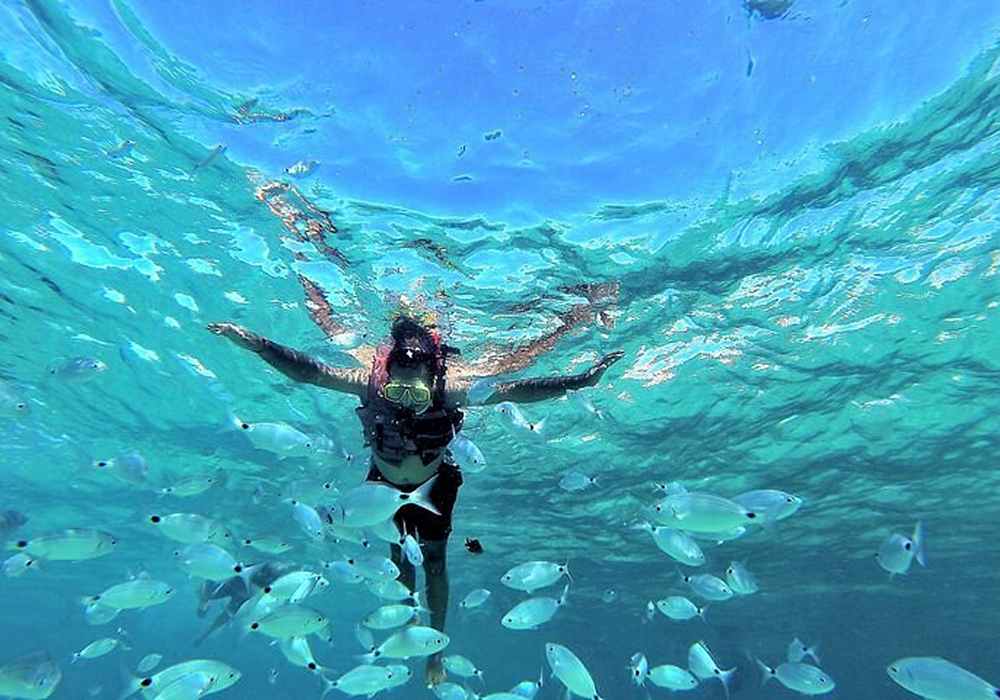 actividades acuaticas 15