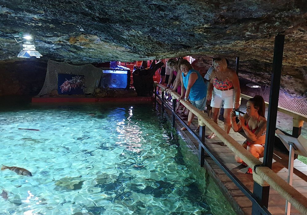 aquarium cap blanc redimenzionada