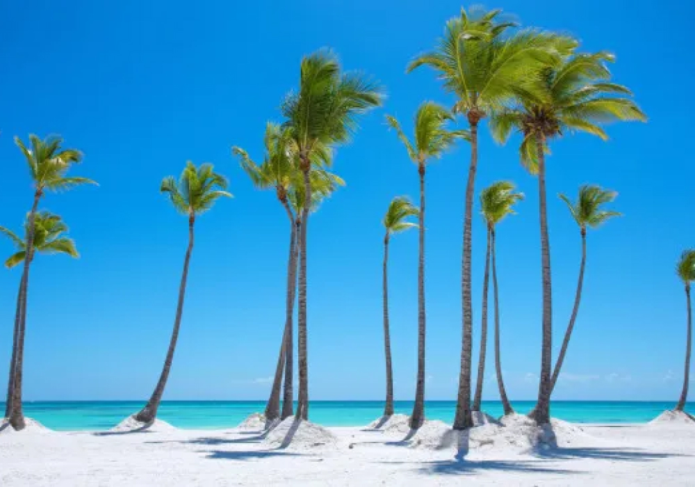 arquitectura-isla-ibiza-encantadora-calle-blanca-vacia-casco-antiguo-eivissa3867.jpg-41a31e82780c6ade4048127efde3cd10-13