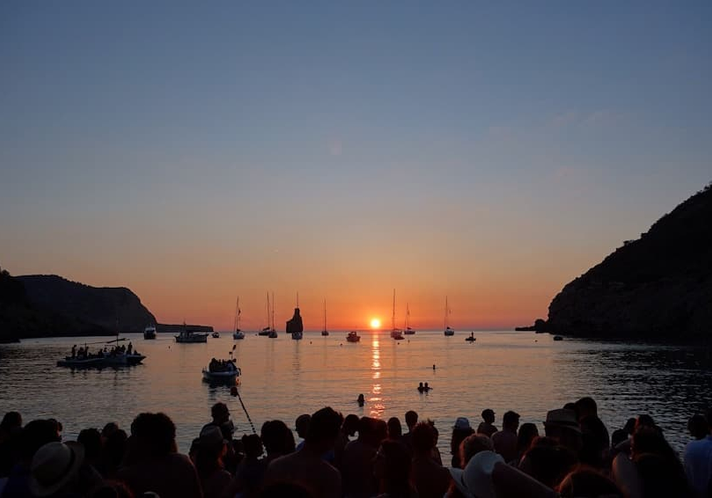 article redimenzionada