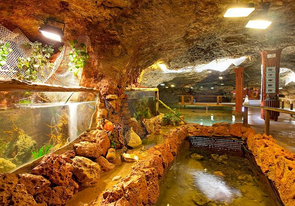 fondo redimenzionada