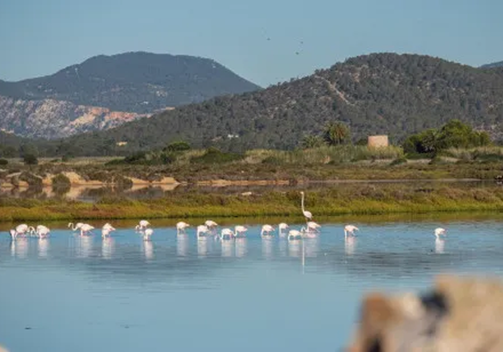 imagen redimenzionada 1 parque natural sas salines