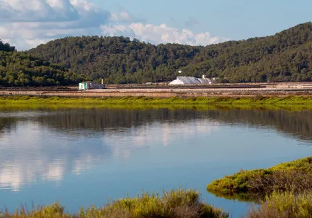 imagen redimenzionada 2 parque natural sas salines
