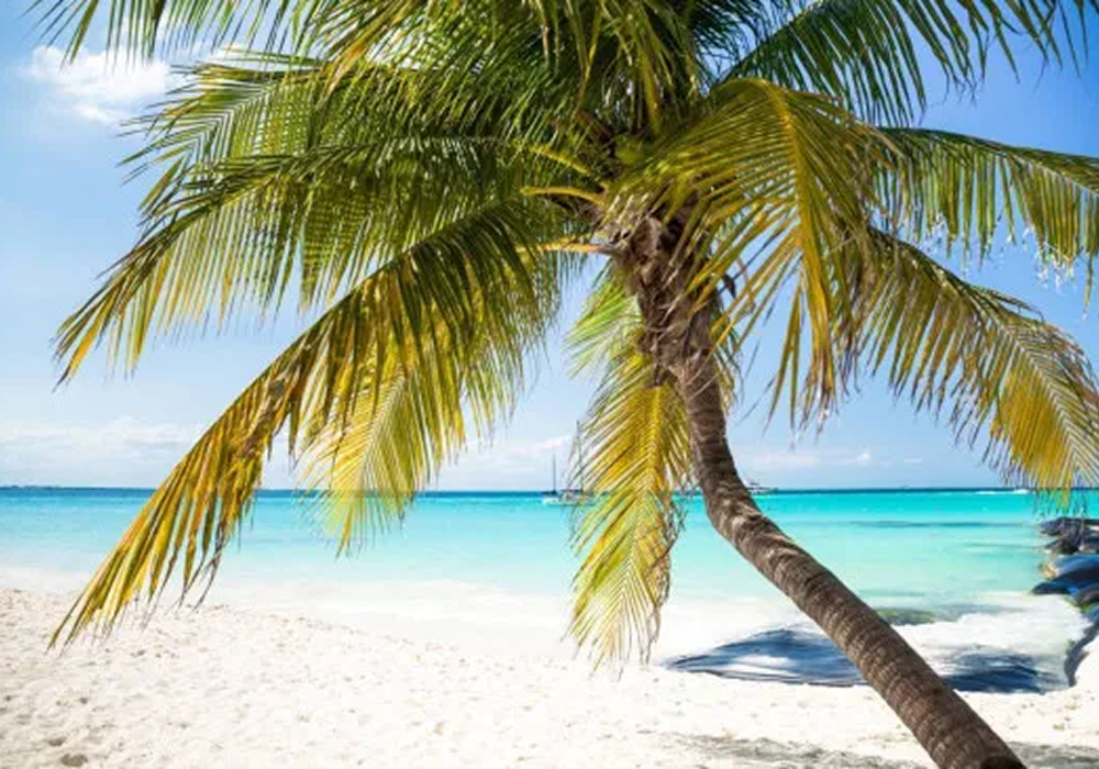 imagen redimenzionada 2 rivera maya