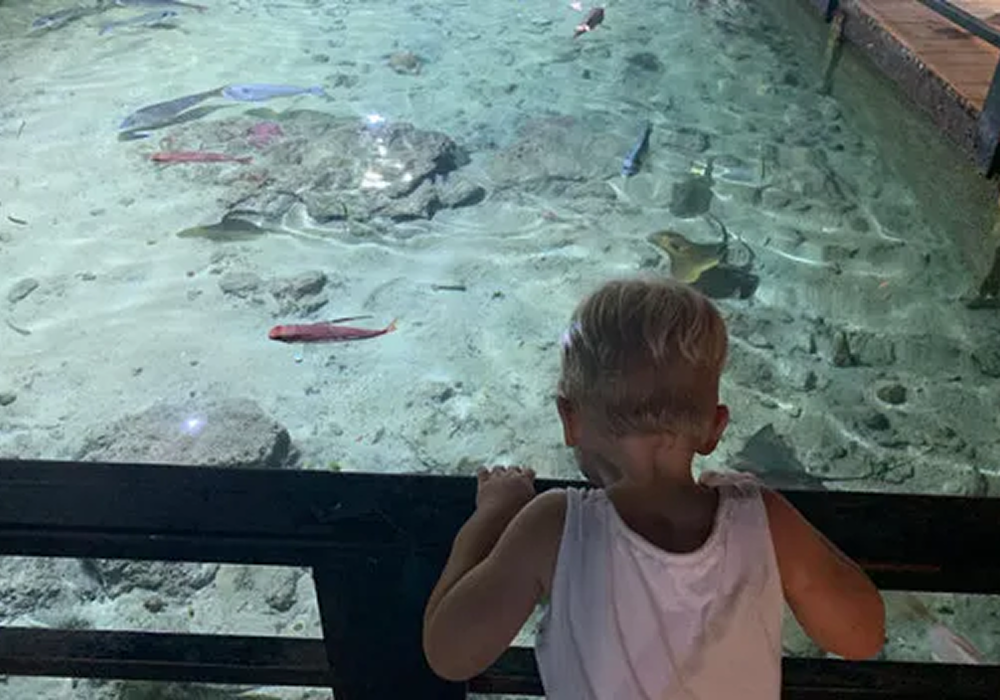 imagen redimenzionada 3 aquarium cap blanc