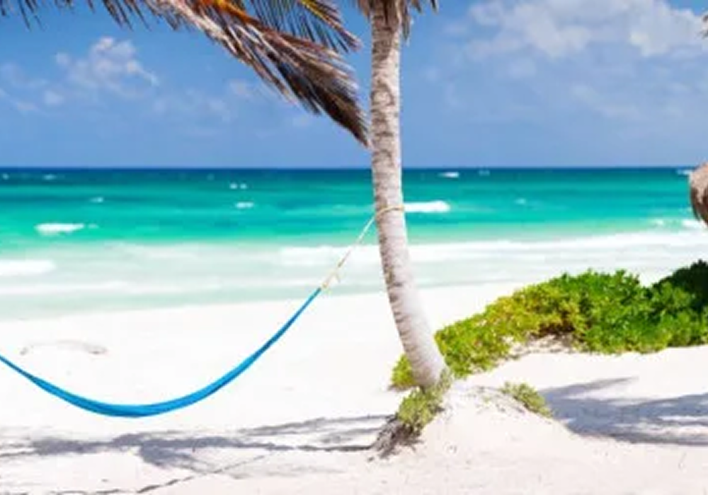 imagen redimenzionada 6 rivera maya