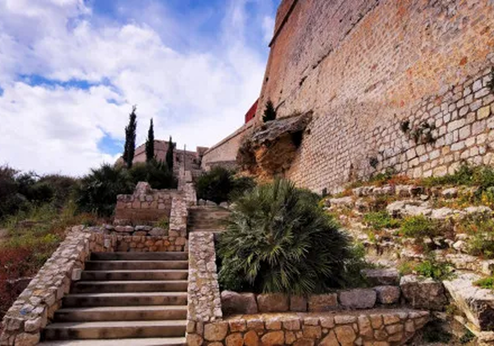 imagen redimenzionada 7 aquarium cap blanc