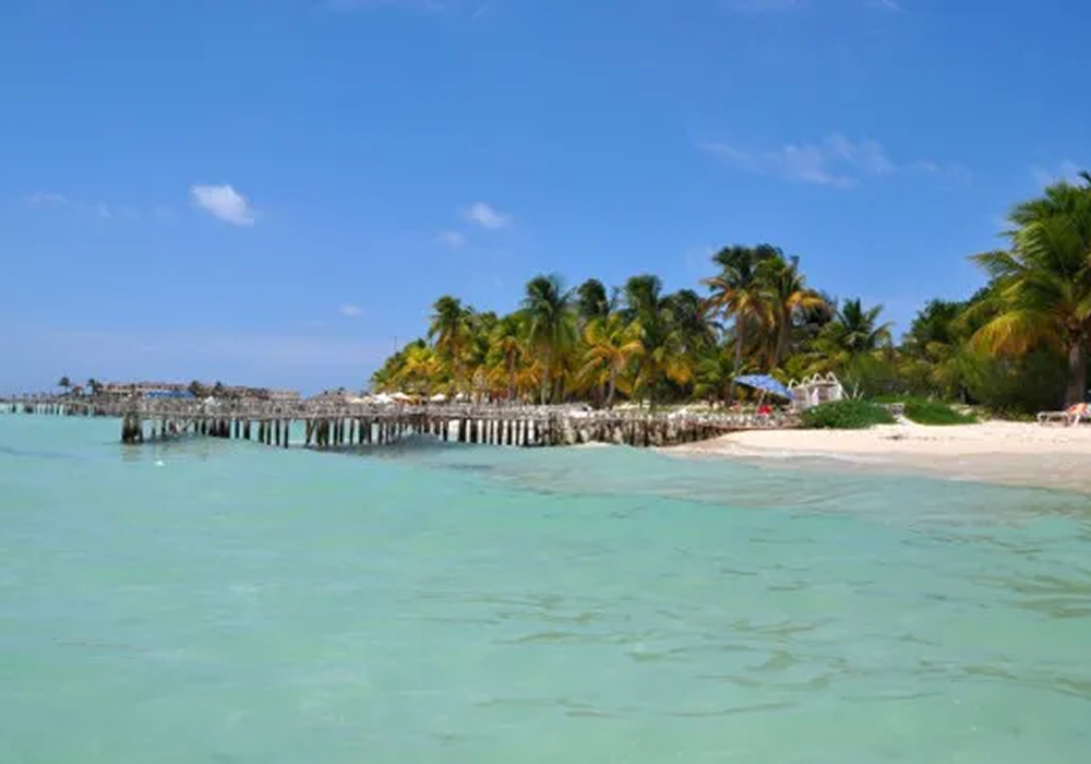 imagen rendimenzionada 3 rivera maya