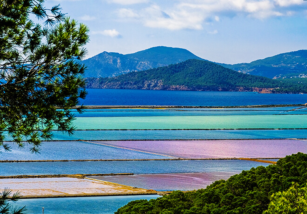 parque natural de ses salines redimenzionada 2