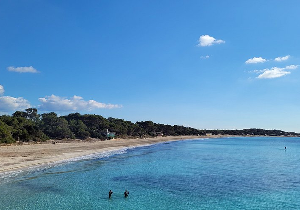 parque natural de ses salines redimenzionada