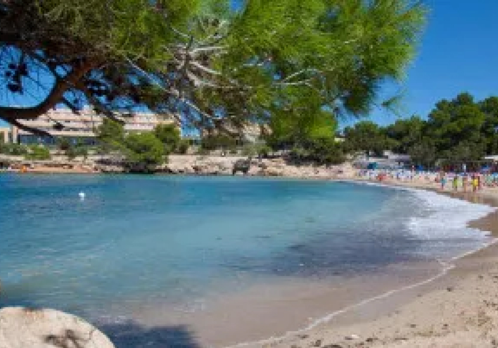 portdestorrent1643.jpg-7bb5a6588b41c634b664ecf99ba98bc0