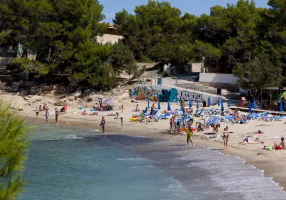 portdestorrent2770.jpg-616db90c266d599e1d00a571291bcd85