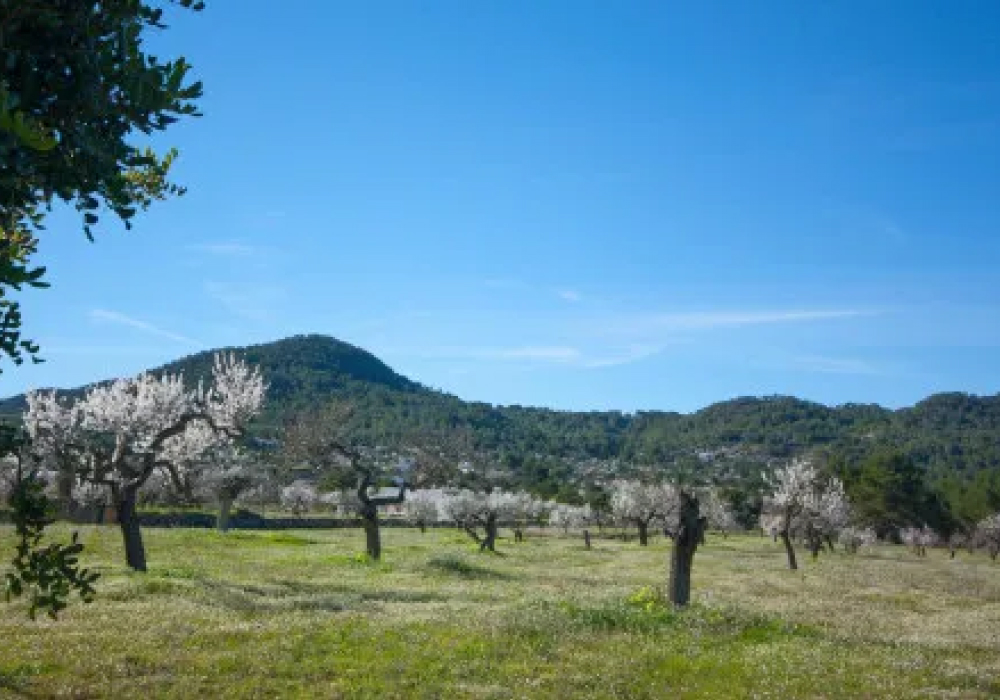 sanagustidesvedra2494.jpg-c6c28b03bf2dc0a946593b08b286fa21