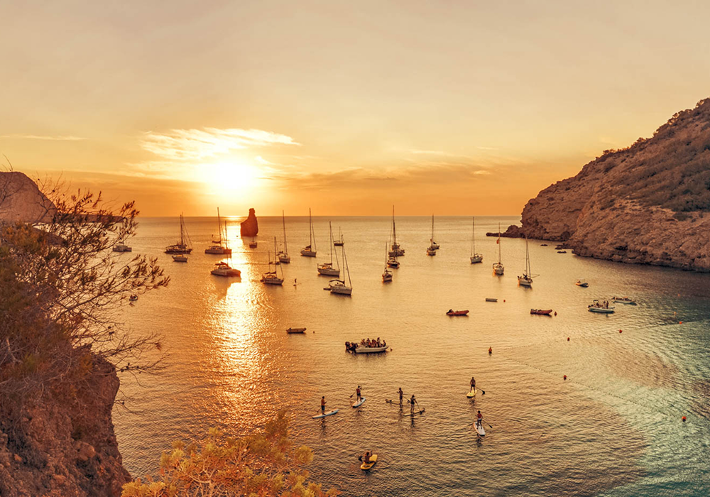 shutterstock redimenzionada