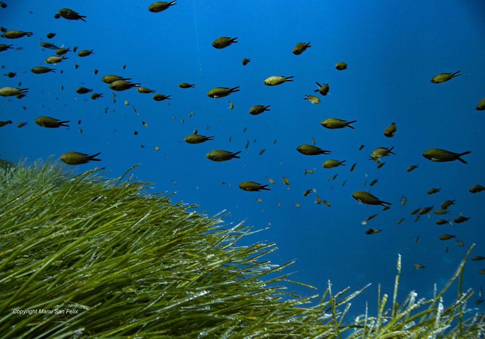 slideshow 1595 redimenzionado